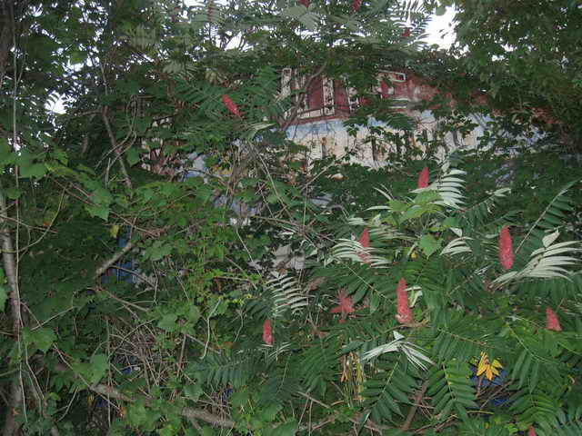 Moonlite Drive-In - 2014 Photo (newer photo)